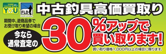 中古30