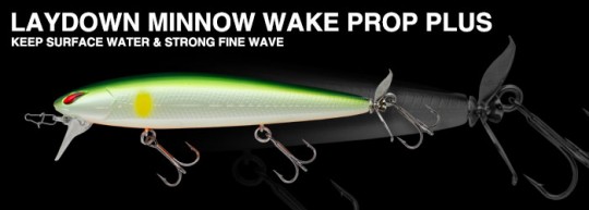 ldm_wake_prop_plus (1)