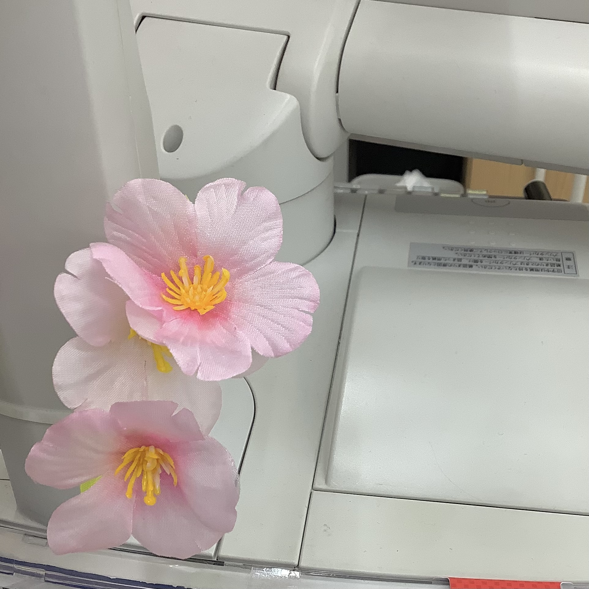 🌸大漁買取🌸