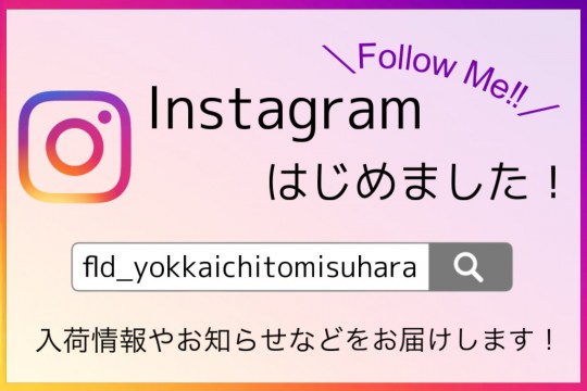 四富　インスタ