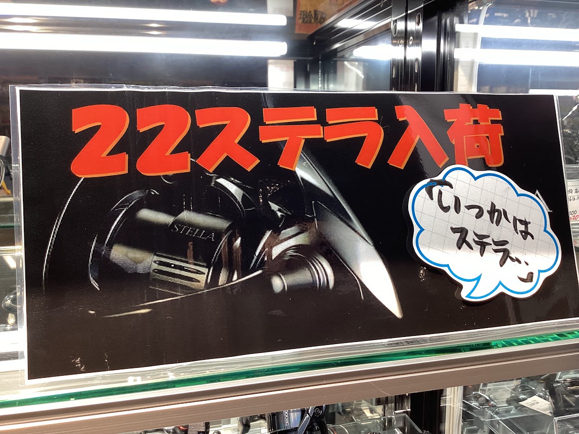 いつかはステラ・・・