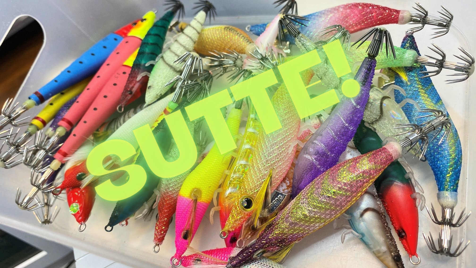 🦐“スッテ”多数入荷しました🦐