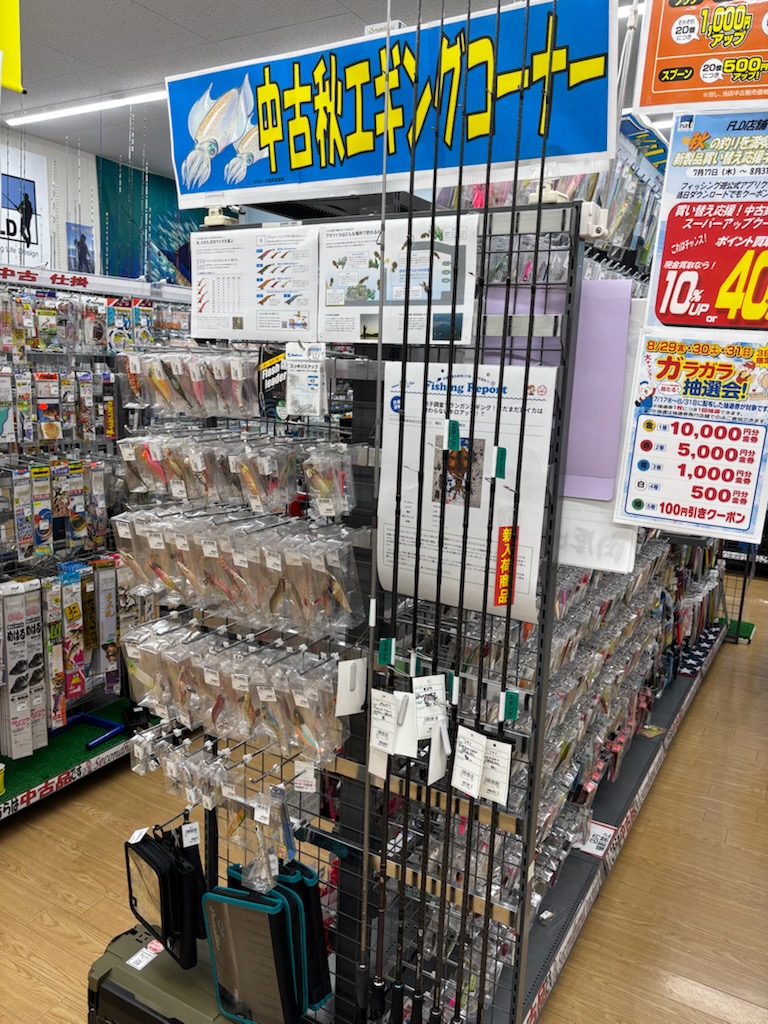 小型アオリイカ釣れていますくコ:彡くコ:彡