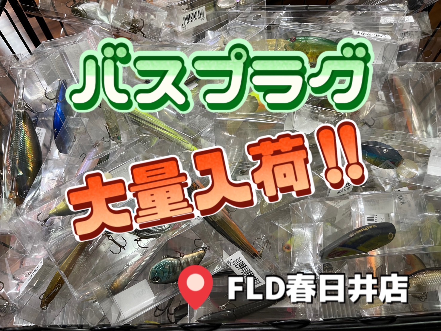 バスプラグ大量入荷‼