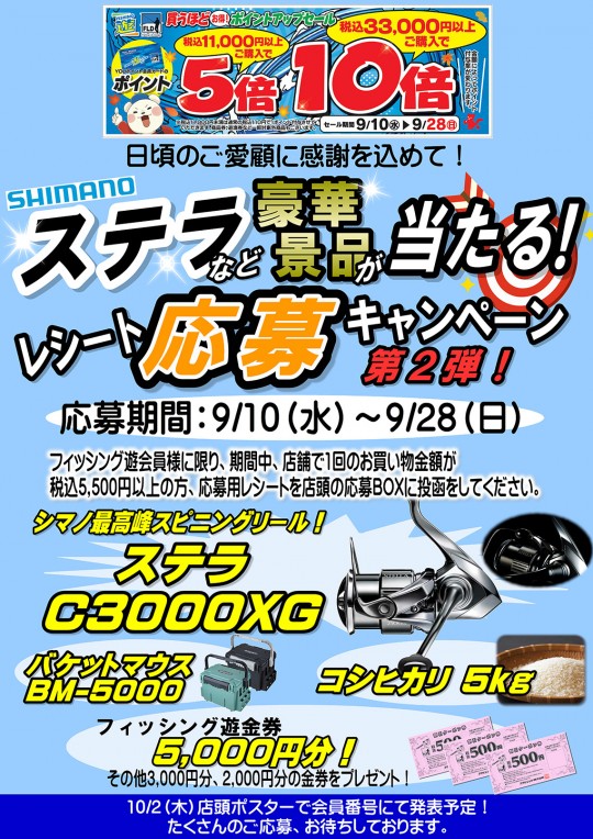 250910campaign