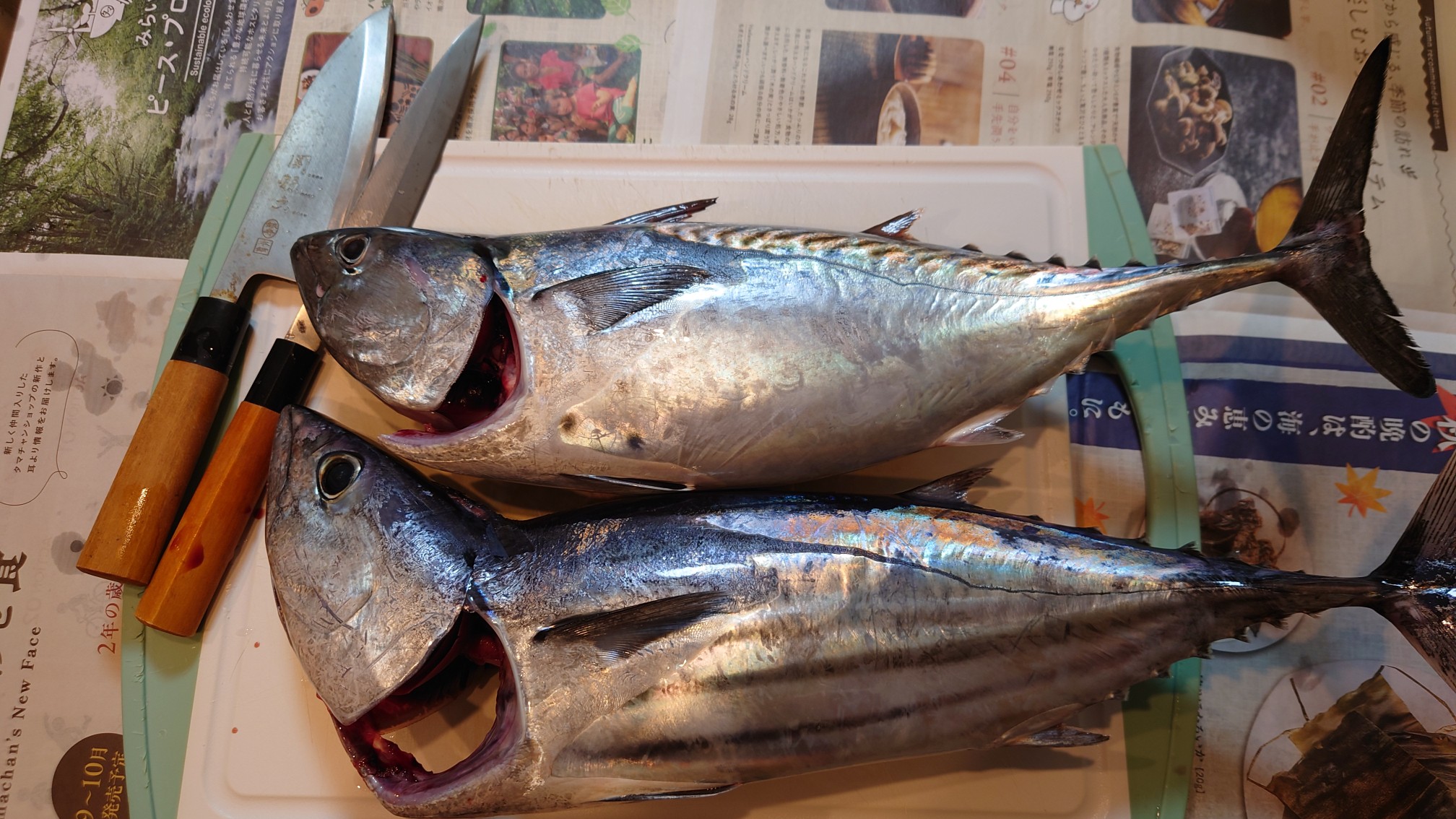 博栄丸にて４回目の金洲釣行と20日のお知らせ！
