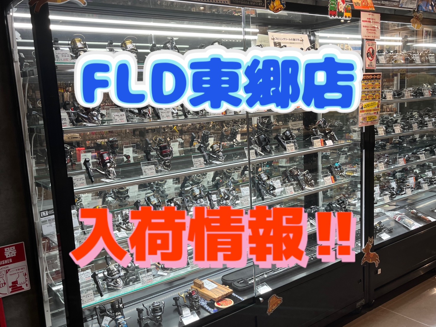 FLD東郷店の入荷情報‼