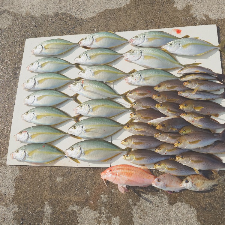 年末最終？釣行に行ってきました！