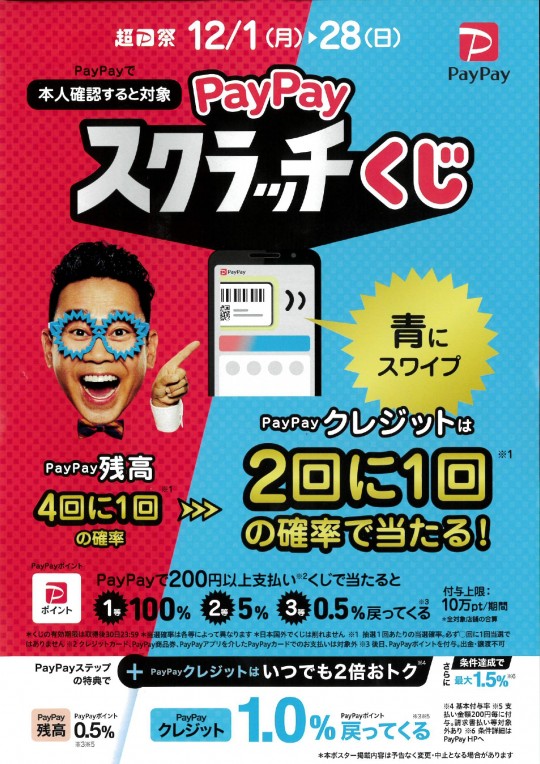 ペイペイポスター_pages-to-jpg-0001