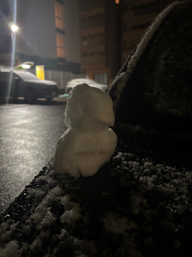 もっと雪降って～⛄