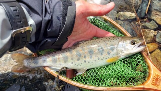 20260414_102015-640x361