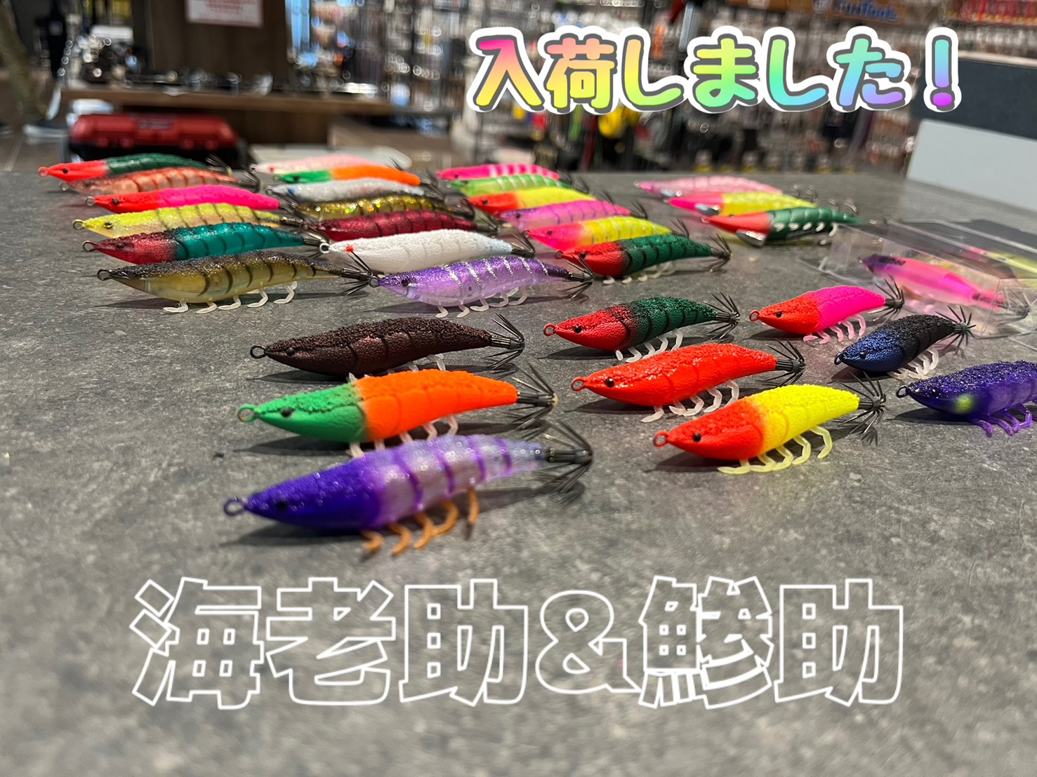 海老助＆鯵助　入荷しました‼